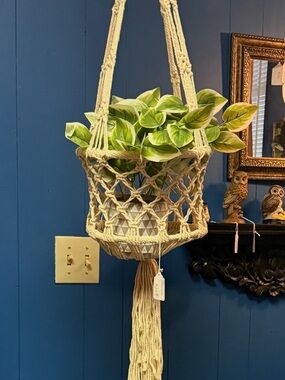 Macrame Hanging Plant Holder in Natural Cream
